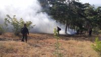 Какво да правим, ако видиш дим в гората или полето?