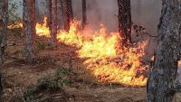 Пожар в Ямболско задейства системата BG-ALERT 