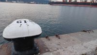 Варненски водолази ще чистят дъното пред Морска гара