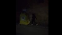Белослав търси младежи, заснети да трошат в града (ВИДЕО)