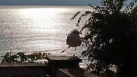 Слънчево и ветровито време в голяма част от страната утре