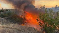 Пожарът край Тополовград се разраства
