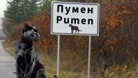Народно творчество: Мистериозният хищник от Шумен подлуди мрежата