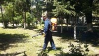 Продължава обработката срещу вредители във Варна