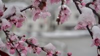 7,5 млн. евро от селскостопанския резерв на ЕС получава България