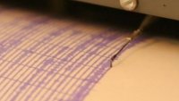 Земетресение от 4,6 по Рихтер разлюля Вранча