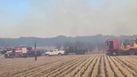 Пожарът в Сакар се разраства