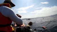 Рибари се стреляха и псуваха в морето