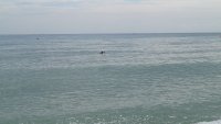 Назначиха спасители на седем неохраняеми плажа във Варна
