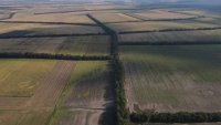 Житницата на България е под огроза: Полезащитните пояси на Добруджа масово съхнат