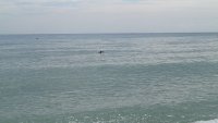 Няма открити източници на замърсяване на морето край Варна