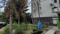В кв. "Чайка" живеят в страх от изсъхнали дървета 