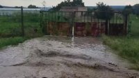 Порой в Шкорпиловци! Отнесени пътища и наводнени дворове