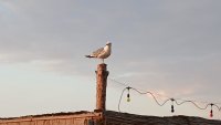 На изток ще е слънчево, а на запад се очакват валежи