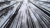 Добри са условията за туризъм в планините