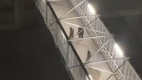 Полицията разкри двама от видеото с насилие над гларус във Варна