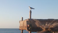 Какво ще бъде времето в петък?