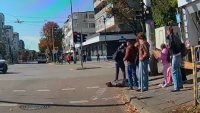 На косъм от трагедия: Ограда събори жена в центъра на Варна върху пътното платно