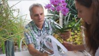 Артисти твориха с орхидеи във Варна	