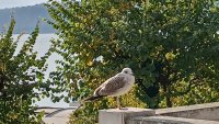 Слънчево време през целия уикенд