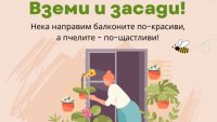 За Цветница: Раздават 100 саксии с цветя във Варна