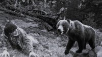 Как да реагираме при среща с мечка?