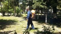 1500 дка зелени площи са обработени срещу кърлежи във Варна