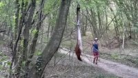 Глобяват смелчага, решил да потича в района, където издирват пумата