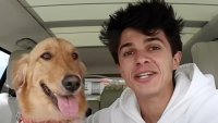 Американец построи луксозен дом за кучето си (Видео)