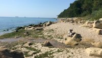 Днес доброволци ще почистват плаж "Галата"