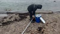 Няма замърсяване на морската вода след атаката с дронове срещу контейнеровоза край Калиакра