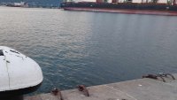 ИАРА състави три акта за нарушения във Варна и региона