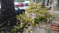 Община Варна: Обстановката в града е спокойна!