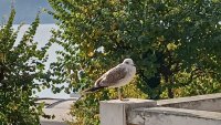 Какво ще бъде времето в неделя?