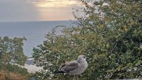 Слънчево време и в утрешния ден