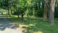 Продължава обработката срещу кърлежи във Варна