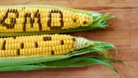 „Агролинк“: EП отваря вратата за нови ГМО