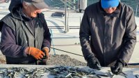 Морето, което храни цели семейства, вече е опасна зона 