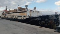 Заловиха 4,5 тона кокаин край Канарските острови в кораб пълен с крави (ВИДЕО)