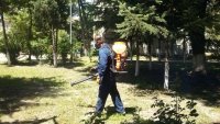 Продължава обработката против вредители на обществените терени във Варна
