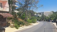 Кметът на Варна разпореди премахване на опасно дърво в Ален мак