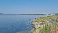 Общината организира почистване на част от северния бряг на Варненското езеро