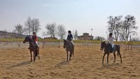 Община Варна ще реконструира конната база във "Виница"