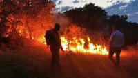 90% от пожарите в страната са причинени от човешка грешка