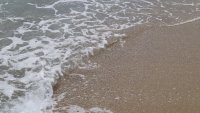 Морската вода у нас е сред най-чистите в Европа