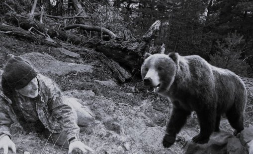 Как да реагираме при среща с мечка?